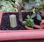 Give a boost to your special plants.