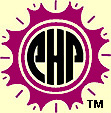 Purple Harmony Plates